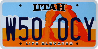 UT license plate W500CY