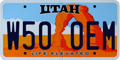 UT license plate W500EM