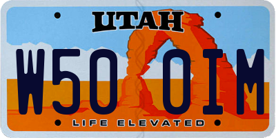 UT license plate W500IM
