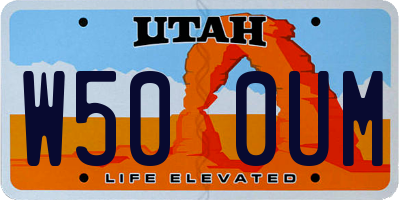 UT license plate W500UM