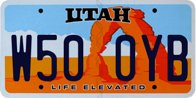UT license plate W500YB