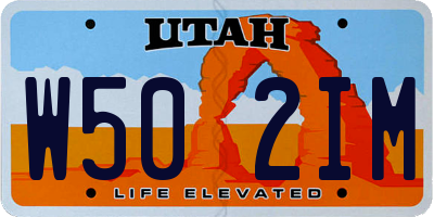 UT license plate W502IM