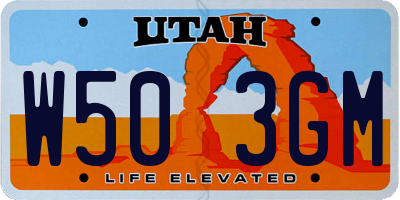 UT license plate W503GM