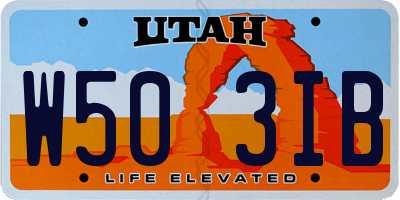 UT license plate W503IB