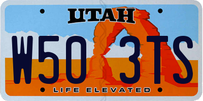 UT license plate W503TS