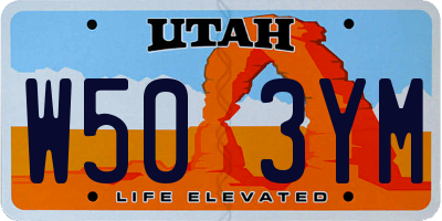 UT license plate W503YM