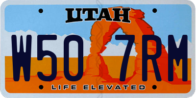 UT license plate W507RM