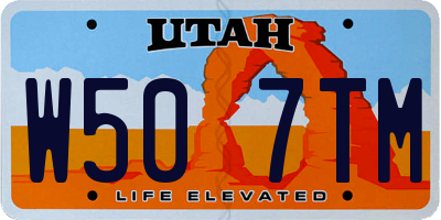 UT license plate W507TM