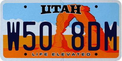 UT license plate W508DM
