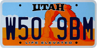 UT license plate W509BM