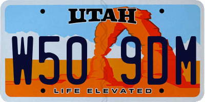 UT license plate W509DM