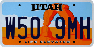 UT license plate W509MH