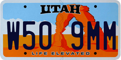 UT license plate W509MM