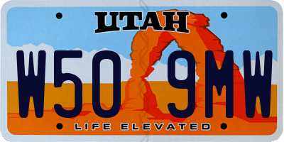 UT license plate W509MW