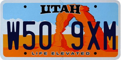 UT license plate W509XM