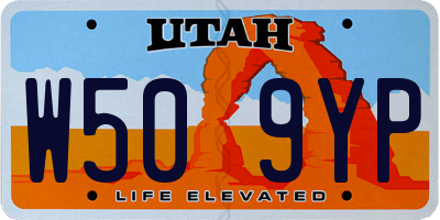 UT license plate W509YP