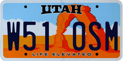 UT license plate W510SM