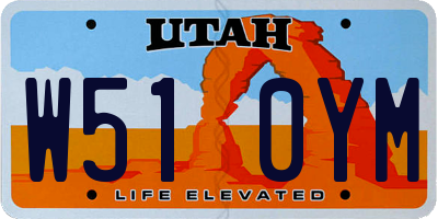 UT license plate W510YM