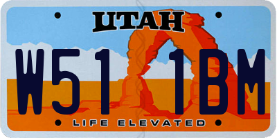 UT license plate W511BM