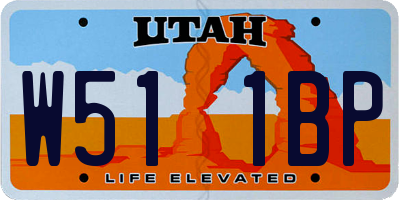 UT license plate W511BP