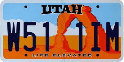 UT license plate W511IM