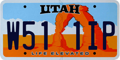 UT license plate W511IP