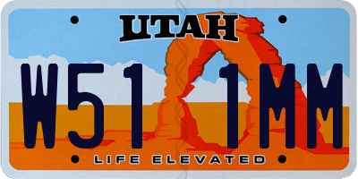 UT license plate W511MM