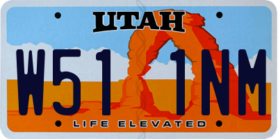 UT license plate W511NM
