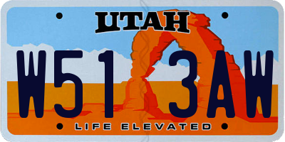 UT license plate W513AW
