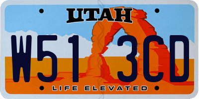 UT license plate W513CD