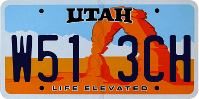 UT license plate W513CH
