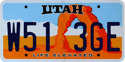 UT license plate W513GE