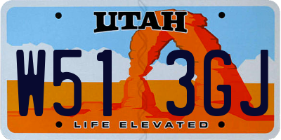 UT license plate W513GJ