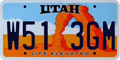 UT license plate W513GM