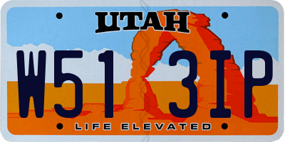 UT license plate W513IP