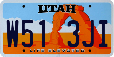 UT license plate W513JI