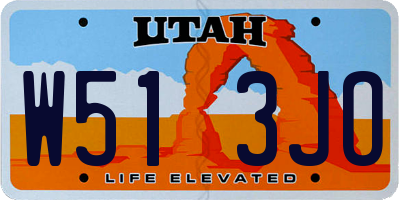 UT license plate W513JO