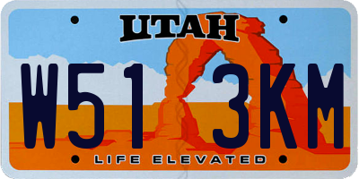 UT license plate W513KM