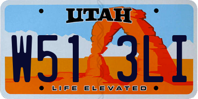 UT license plate W513LI