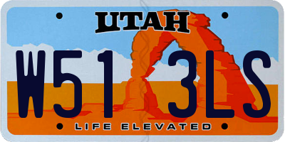 UT license plate W513LS
