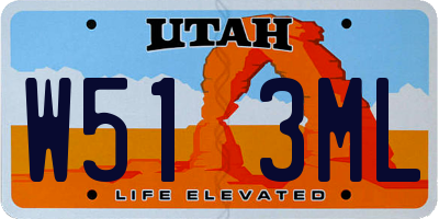 UT license plate W513ML