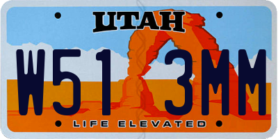 UT license plate W513MM