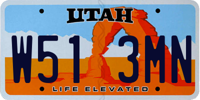 UT license plate W513MN