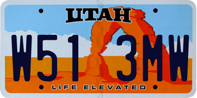 UT license plate W513MW