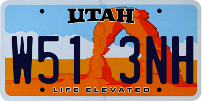 UT license plate W513NH