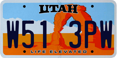 UT license plate W513PW