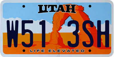 UT license plate W513SH