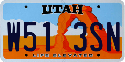 UT license plate W513SN