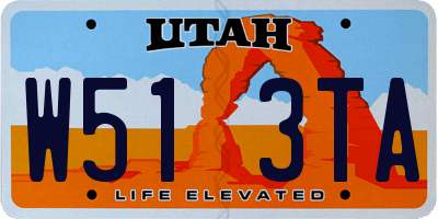 UT license plate W513TA