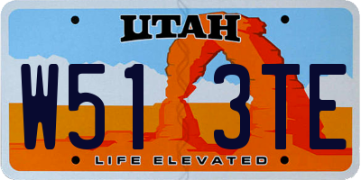 UT license plate W513TE